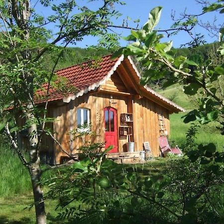 Sonniges-Naturnahes-Schwarzwald-Ferienhaeuschen Welschensteinach Buitenkant foto