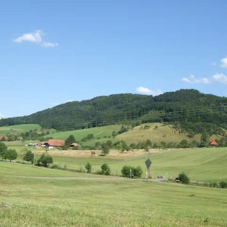 Sonniges-Naturnahes-Schwarzwald-Ferienhaeuschen Welschensteinach Buitenkant foto