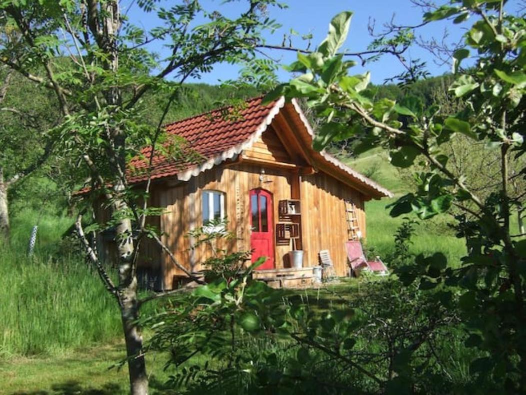 Sonniges-Naturnahes-Schwarzwald-Ferienhaeuschen Welschensteinach Buitenkant foto