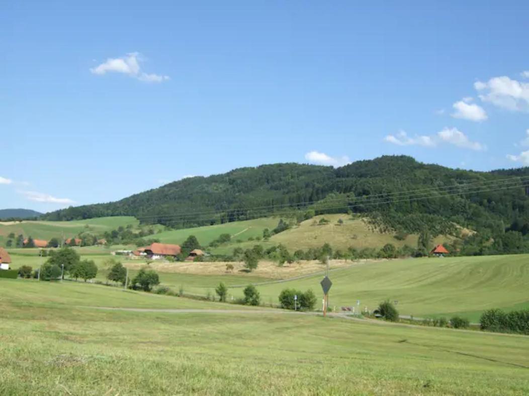 Sonniges-Naturnahes-Schwarzwald-Ferienhaeuschen Welschensteinach Buitenkant foto