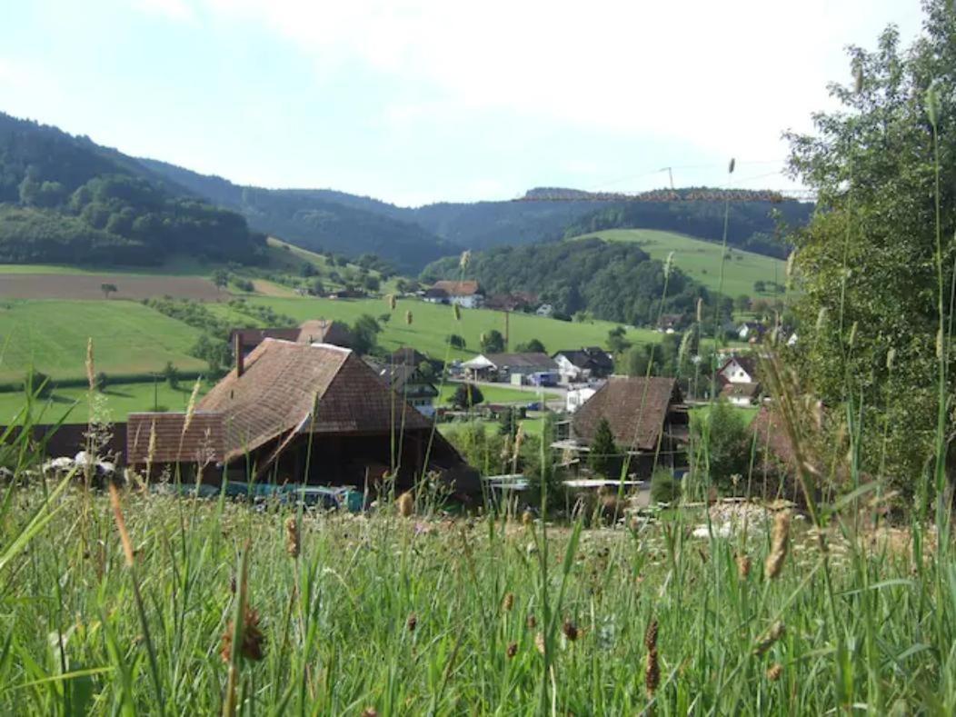 Sonniges-Naturnahes-Schwarzwald-Ferienhaeuschen Welschensteinach Buitenkant foto