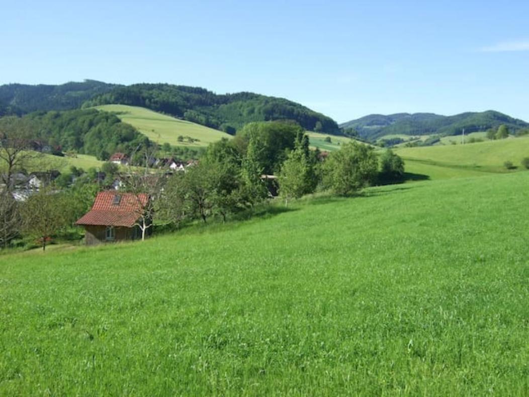 Sonniges-Naturnahes-Schwarzwald-Ferienhaeuschen Welschensteinach Buitenkant foto