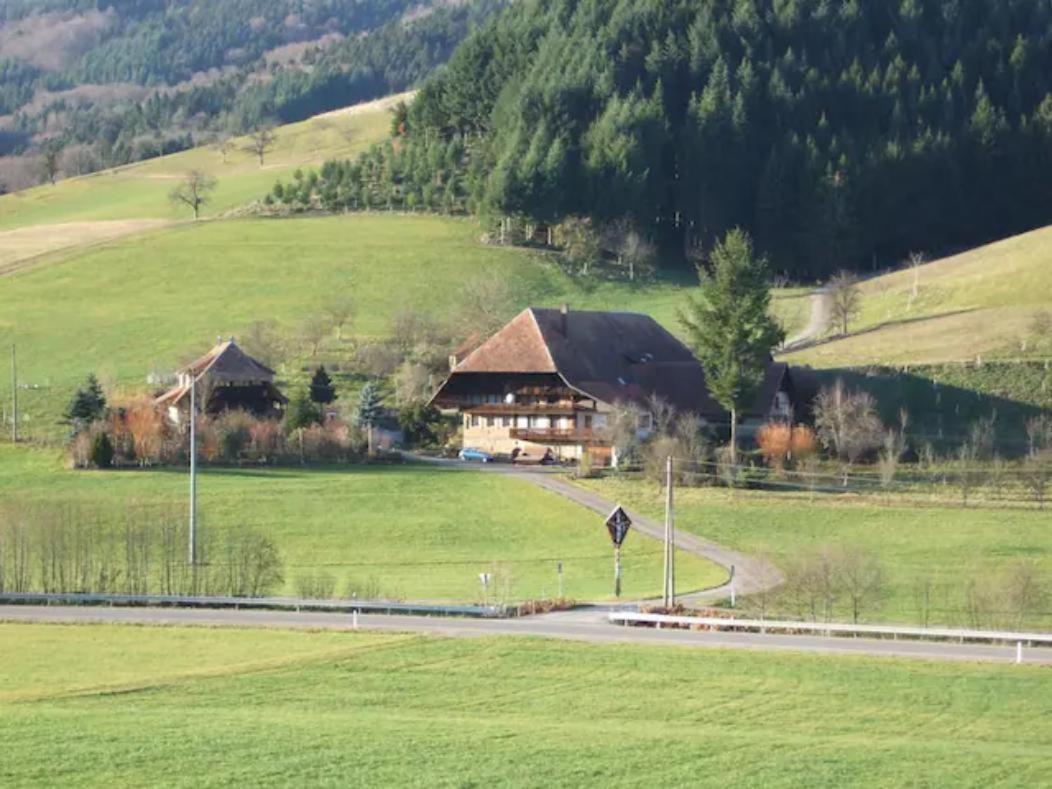 Sonniges-Naturnahes-Schwarzwald-Ferienhaeuschen Welschensteinach Buitenkant foto